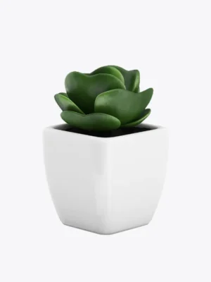 product-image-9_optimized Detox